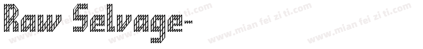Raw Selvage字体转换